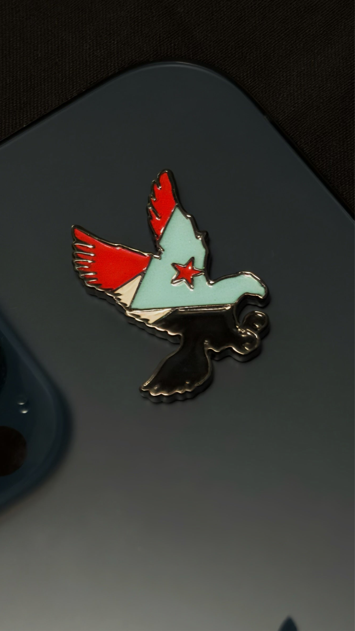 Southern flag on falcon