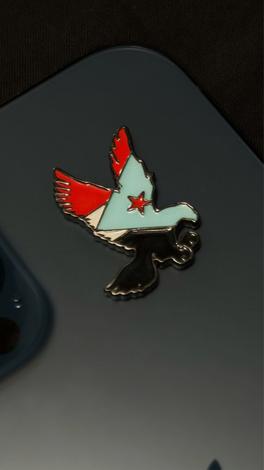Southern flag on falcon