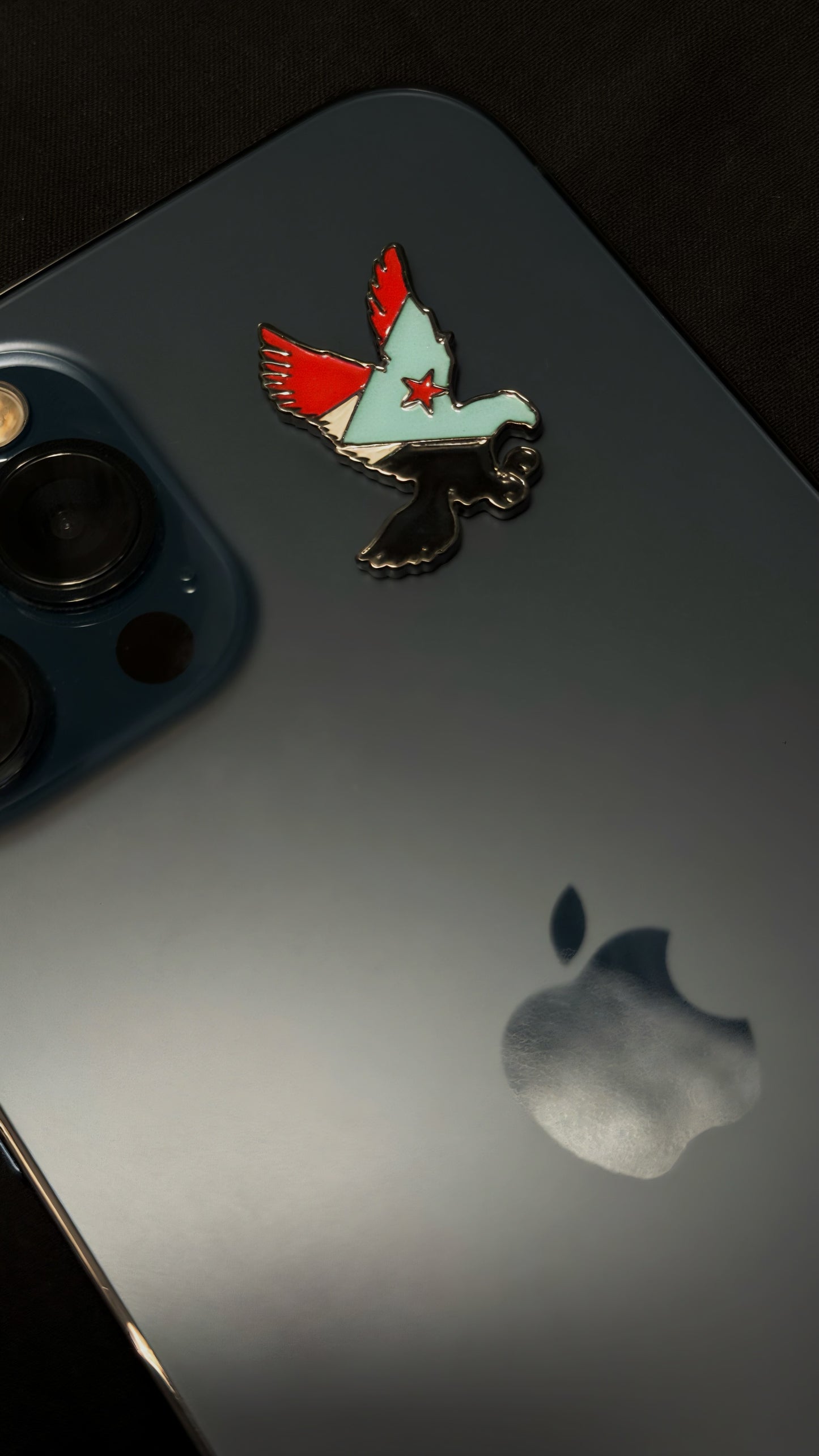 Southern flag on falcon