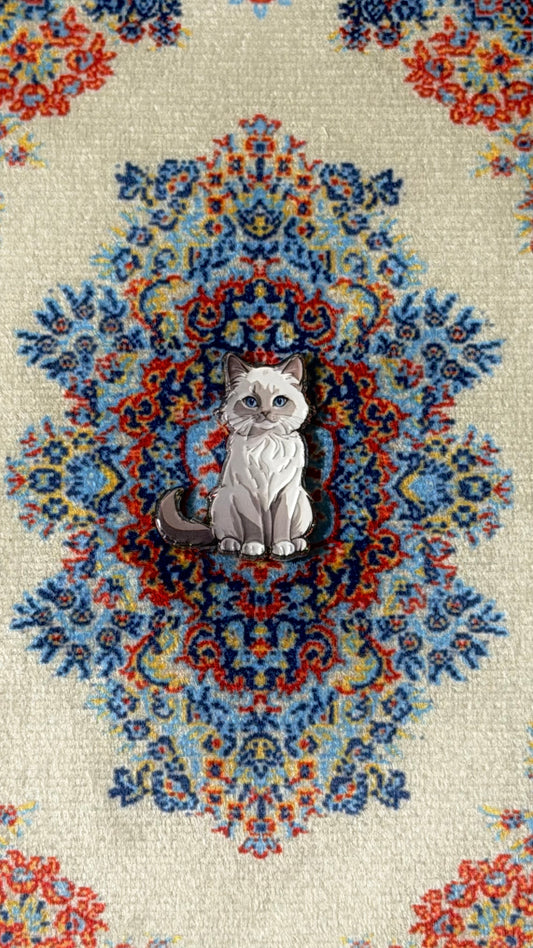 Cute cat 🐈
